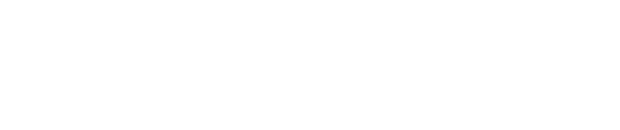 Braintech Logo